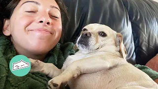 Woman Rescues This Goofy Dog And Now They’re Inseparable | Cuddle Dogs
