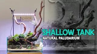 #48 - THE SHALLOW TANK | Natural Paludarium 40cm | Set Up