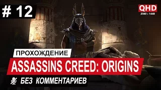 [2K] Assassins Creed: Origins | Прохождение — ЧАСТЬ 12 (Голодная река. Проныра) [60 FPS]