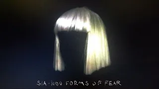 Sia - Elastic Heart (TV Track)