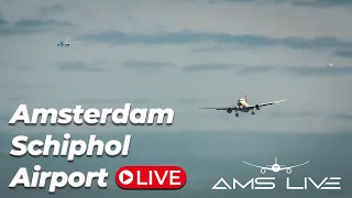 Live: Crosswindy arrivals at Schiphol Airport | Friday 12th Apr 2024