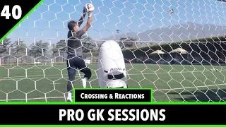 Crossing & Reaction Training | Pro Gk Sessions