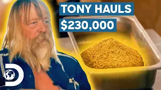 Tony Beets Hauls Over $230,000 Worth Of Gold! | Gold Rush