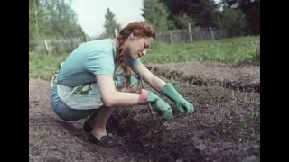 Фотографии советских знаменитостей, отдыхающих на своих дачах