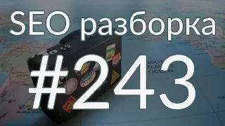 SEO разборка #243 | Туристическая фирма Вологда | Анатомия SEO