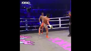 BUXORO LION MUAYTAY