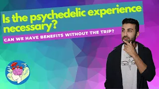 Is the psychedelic experience necessary for therapeutic benefits? | Psychedelics without the trip?