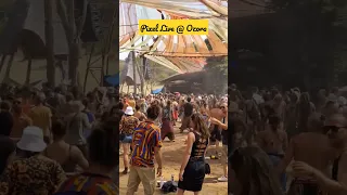 Pixel Live @ Ozora Festival 2022 #shorts #ozorafestival #psytrance #musicfestival #rave