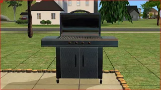 The Sims 2 baby grill mod is the best mod ever made