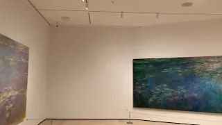 The water lilies by Claude Monet at MoMA