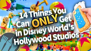 14 Things You Can ONLY Get in Disney World's Hollywood Studios