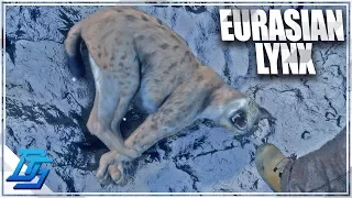 THE ELUSIVE LYNX HUNT!- TheHunter : Call of the Wild (Multiplayer)