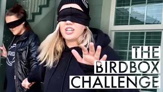 What Is The BirdBox Challenge?