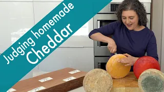 Judging Homemade Cheddars - What Aging Method Created the Best Tasting Cheddar?