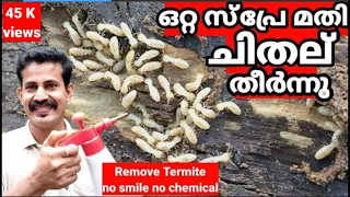Get rid of Termite in home / ചിതലിനെ നശിപ്പിക്കാൻ അടുക്കളയിലെ ഈ സാധനങ്ങൾ മതി/ Btech MIXMEDl A