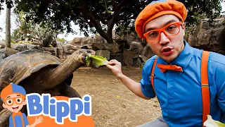 San Diego Zoo Part 3 | Blippi | Kids Songs | Moonbug Kids