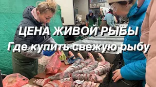 ЦЕНА СВЕЖЕЙ РЫБЫ на ярмарке. Где КУПИТЬ ЖИВУЮ РЫБУ в Киеве.