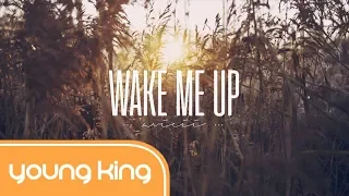 [Lyrics+Vietsub] Wake Me Up - Avicii