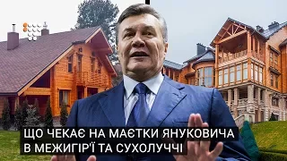 Що чекає на маєтки Януковича в Межигір'ї та Сухолуччі?