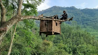 Build shelters on high trees to avoid wild animals, experience the wild life in the forest alone