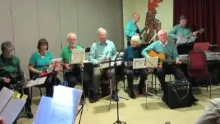 Ballydesmond Polkas 1 & 2 played by Greenshoots