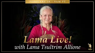 Lama Live! February 18, 2024 with Lama Tsultrim Allione
