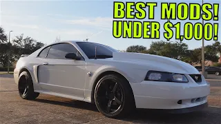 Top 5 BEST Performance Mods For Your 1999-2004 Mustang GT Under $1,000! (Increase HP Cheap & Easy)