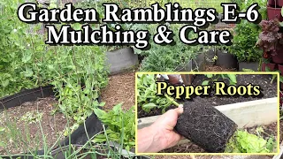 Mulching, Plant Growth, Pests & Disease, Production, Root Systems: Garden Ramblings Tips & Tour E-6