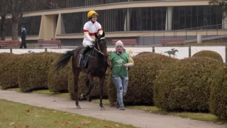 Wyścigi konne, Joanna Wyrzyk na koniu Gracja wygrywa gonitwę na Służewcu