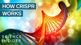 CRISPR DNA Editing System In 90 Seconds