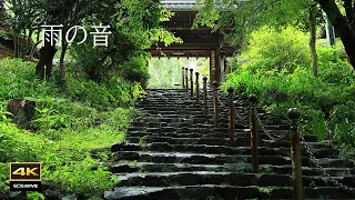 4K + Nature sounds [revival version] Only the sound of rain can be heard in the empty temple grounds