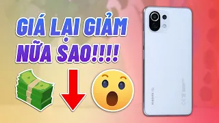 Xiaomi 11 Lite 5G NE: LẠI GIẢM GIÁ NỮA SAO!