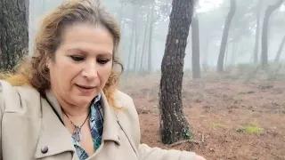 Al monte a por setas.Que susto he pasado durante un buen rato!!!