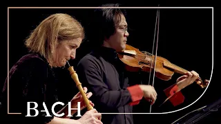 Bach - Concerto for Oboe and Violin in C Minor BWV 1060R - Black and Sato | Netherlands Bach Society