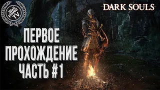 Dark Souls Prepare To Die Edition 💾 Прохождение часть #1