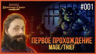 001. Прохождение BG1 впервые и вслепую. Mage/Thief.