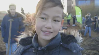 Eerste Tiny Forest in Groningen: “Mooier kun je het onderwijs niet krijgen”