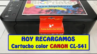 RECARGA CARTUCHO TINTA COLOR CANON CL-541 EN CANON PIXMA MG3650. VALIDO PARA CARTUCHO CANON CL-546