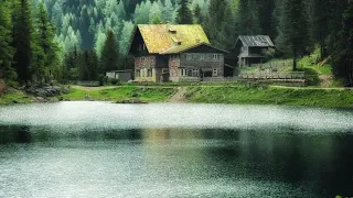 Summer Lake Ambience | Cozy Summer Lake House Ambience | Relaxing Birdsong