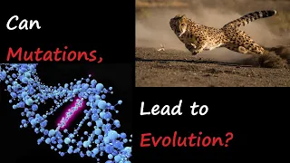 Can Random Mutations lead to progressive Evolution? | God Exists 11 pt2| The Programming of life!