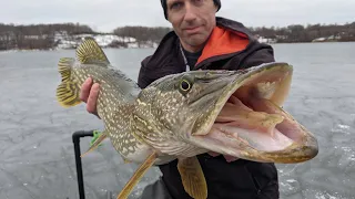 Ice Fishing Big Baits