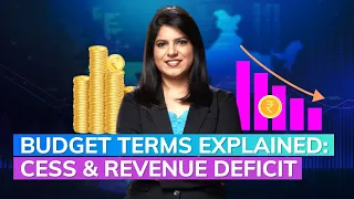 Budget 2023 Terms Explained: Cess And Revenue Deficit