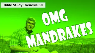 OMG it's Mandrake - What it that and why is it important? Let's read the Bible to find out