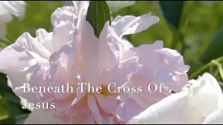 303 SDA Hymn - Beneath The Cross Of Jesus (Singing w/ Lyrics)