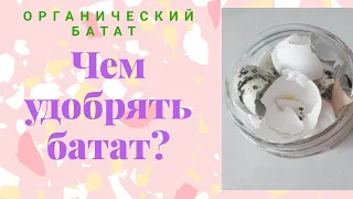 Чем удобрять батат?