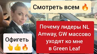 🔥 Смотреть каждому сетевику! Вот почему лидеры NL , GW  и Амвэй массово уходят к нам в Green Leaf