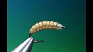 Fly Tying the Gummi Grub Maggot fly with Barry Ord Clarke