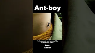 When a Boy Gets Bitten by an Ant and Turns into Ant-boy