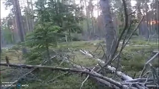 Russian Bigfoot encounter-Caught on tape