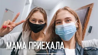 МАМА ПРИЕХАЛА В ГОСТИ 🥰 НАШ ДЕНЬ || ПОМОГАЕМ ПРИЮТАМ ДЛЯ ЖИВОТНЫХ